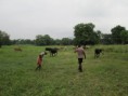 /album/galleria-foto-prima-farm/img-5858-jpg/