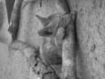 /album/galleria-foto-prima-farm/img-5866-jpg/