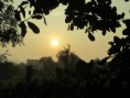 /album/galleria-foto-prima-farm/img-5910-jpg/