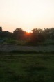 /album/farm-il-ritorno/mg-1930-jpg/