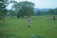 /album/farm-il-ritorno/mg-1940-jpg/