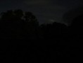 /album/farm-il-ritorno/img-6323-jpg/