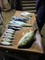 /album/galleria-foto-varkala/img-5711-jpg/