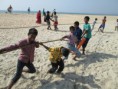 /album/galleria-foto-goa-calangute-/img-7082-jpg/